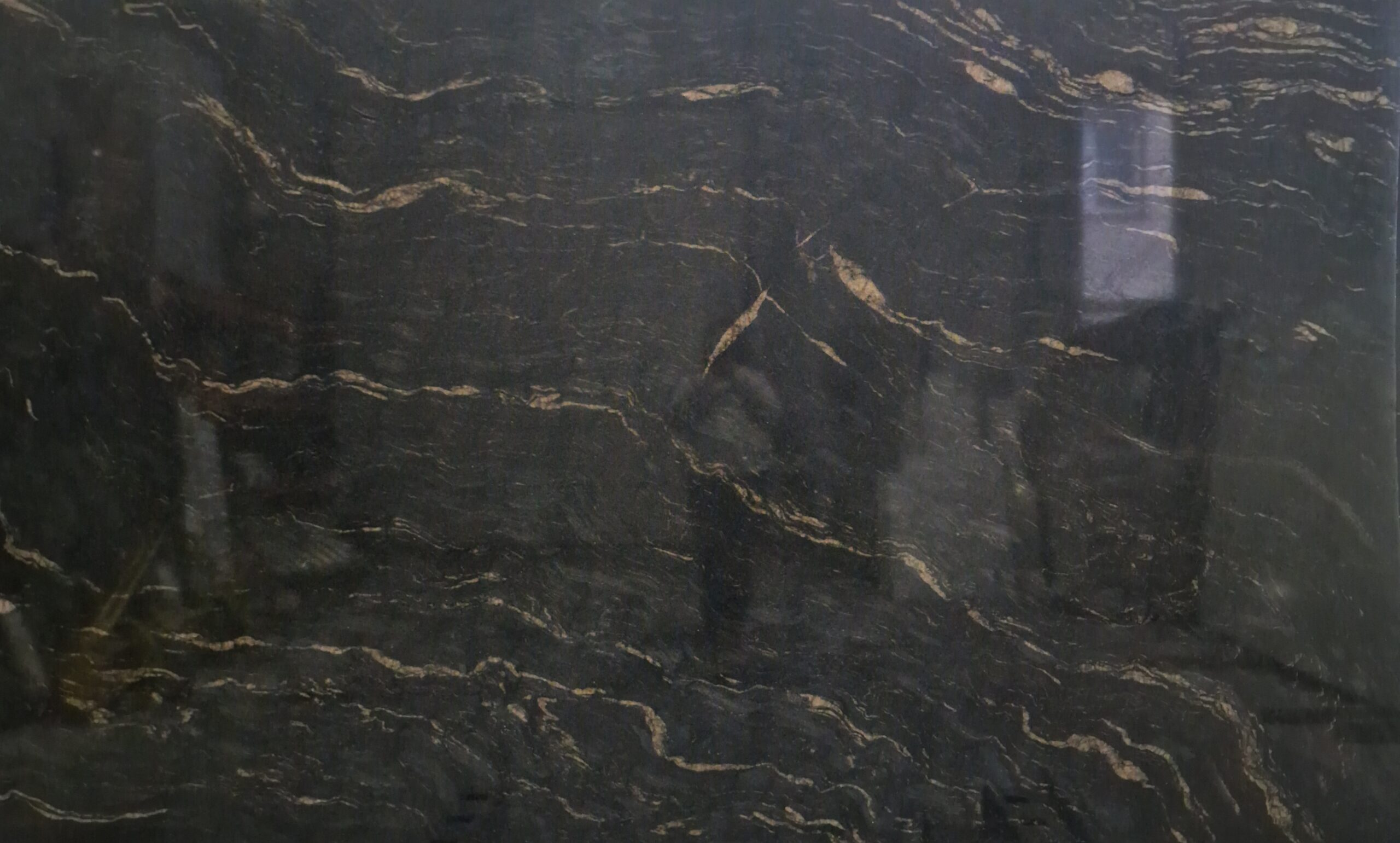 Titanium Cheyenne Gold gr.2cm